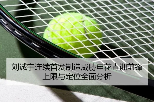 刘诚宇连续首发制造威胁申花青训前锋上限与定位全面分析